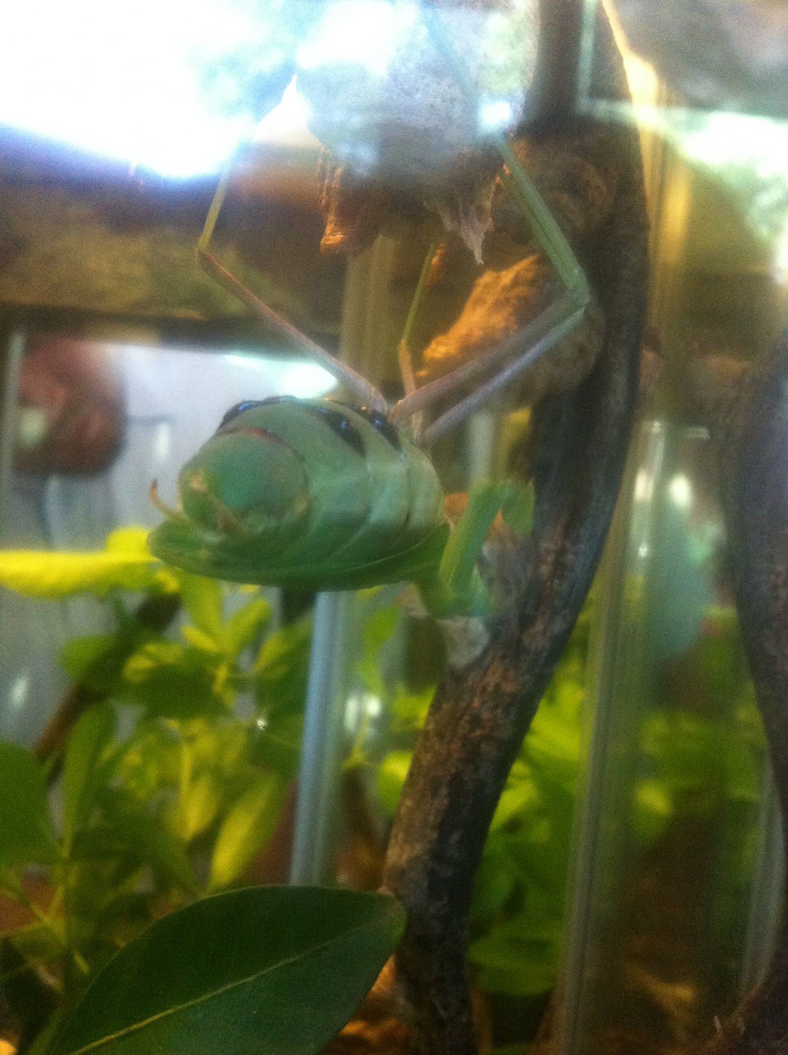 London Zoo